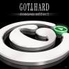 GOTTHARD - Domino Effect (2007)
