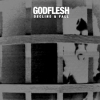 GODFLESH - Decline & Fall (2014) (LP)