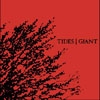 TIDES / GIANT - Split Album (2008) (Ltd edition)