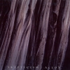 SKEPTICISM - Alloy (2008)