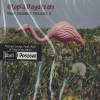 V/A - Utopia Daydream Rubble