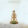 BLOSSOM TOES - If Only For A Moment (1969) (Ltd edition 2LP)