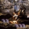 GIANT SQUID - Metridium Fields (2006)