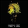 FALLEN FROM THE SKY - Tonight We Radiate (2008)