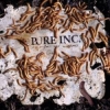 PURE INC. - Parasites And Worms (2008)