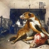 TRUE - Still Life (2010)