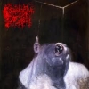 PROSANCTUS INFERI - Pandemonic Ululations Of Vesperic Palpitation (2010)