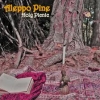 ALEPPO PINE - Holy Picnic (2010)