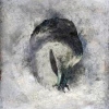 SUMA - Ashes (Ltd edition 2LP) (2010)