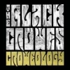BLACK CROWES - Croweology (2010) (2CD)