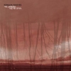 FORMER THIEVES - The Language That We Speak (Ltd edition LP) (2011)