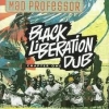 MAD PROFESSOR - Black Liberation Dub (Ltd edition LP