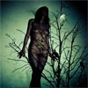 ATLAS MOTH - An Ache For The Distance (2011)