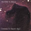 NEPTUNE TOWERS - Caravans To Empire (1994) (remastered