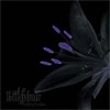 LILYUM - Nothing is Mine (2011)