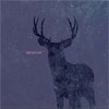 COLD BODY RADIATION - Deer Twillight (2011)