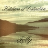 KITCHENS OF DISTINCTION - Folly (2013)