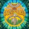 GRATEFUL DEAD - Sunshine Daydream (Live at Veneta 1972) (3CD+DVD