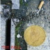 FALL - The Remainderer (6 tracks 10" Vinyl EP) (2013)