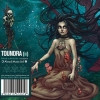 TOUNDRA - III. (Limited edition LP) (2013)