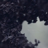 NEBELUNG - Palingenesis (DeLuxe edition LP) (2014)