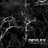 DEVLSY - A Parade Of States (2014)