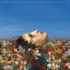 PINEAPPLE THIEF - Magnolia (2017) (DIGI)