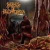 STAGES OF DECOMPOSTION - Piles Of Rotting Flesh (2014)