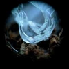 OSSICLES - Mantelpiece (2012) (Limited edition CD