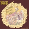 BASK - American Hollow (Limited edition LP) (2015)