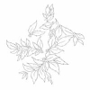 NHOR - Momenta Quintae Essentiae (2015) (DIGI)