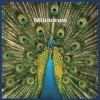 BLUETONES - Expecting To Fly (1996) (20th Anniversary edition LP