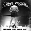 BIG GUNS - Down But Not Out (2016)