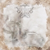 SURTURS LOHE - Seelenheim (2016)