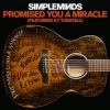 SIMPLE MINDS - Acoustic (2016)