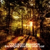 COLD BODY RADIATION - The Longest Shadows Ever Cast (Limited edition 2 tracks 7" EP) (2013)