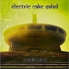 ELECTRIC CAKE SALAD - Subdiffusion (Limited edition LP) (2016)
