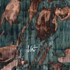 LINT - Then They Came For Us (2016) (LP)