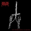 RIDE FOR REVENGE - Thy Horrendous Yearning (2017) (LP)