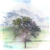 SLEEP CITY - Distance And Age (2014)
