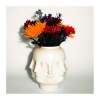 BUFFALO KILLERS - Heavy Reverie (Limited edition LP) (2014)