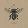 KALAMATA - Disruption (Limited edition LP + MP3 + POSTER) (2017)