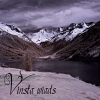 VINSTA - Wiads (2017) (DIGI)