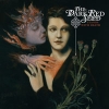 DARK RED SEED - Stands With Death (2017) (MCD) (DIGI)