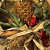 THELEMA - Stilllife (Limited edition LP) (2017)