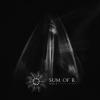 SUM OF R - Orga (2017)