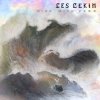 LES LEKIN - Died With Fear (Limited edition BLUE MARBLED LP) (2017)