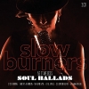V/A - Slow Burners (2CD) (2017)