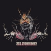 SLOMIND - Metamorphoseon (2017) (LP)