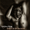 ANDI SEX GANG - Achilles In The Eurozone (2015) (CD